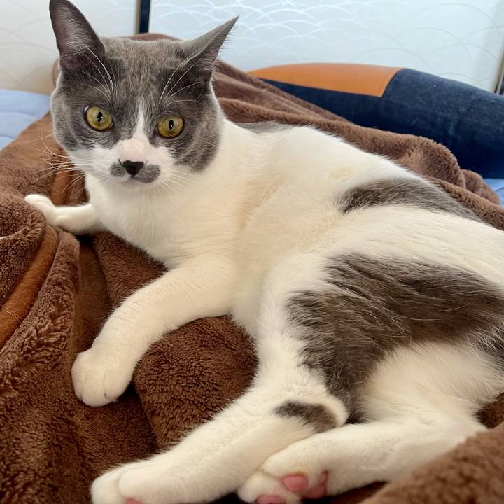 8d6faf30 6079 418e 8303 0d3ef0fc7d43 1635899695981