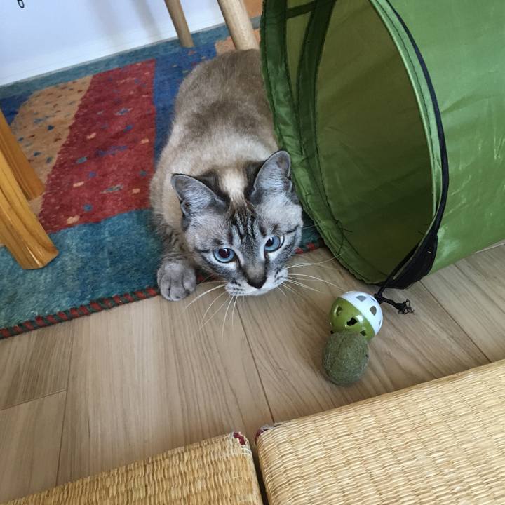 8d6fb2f3 f7e8 4bcf aa63 58faf6236887 1585106396859