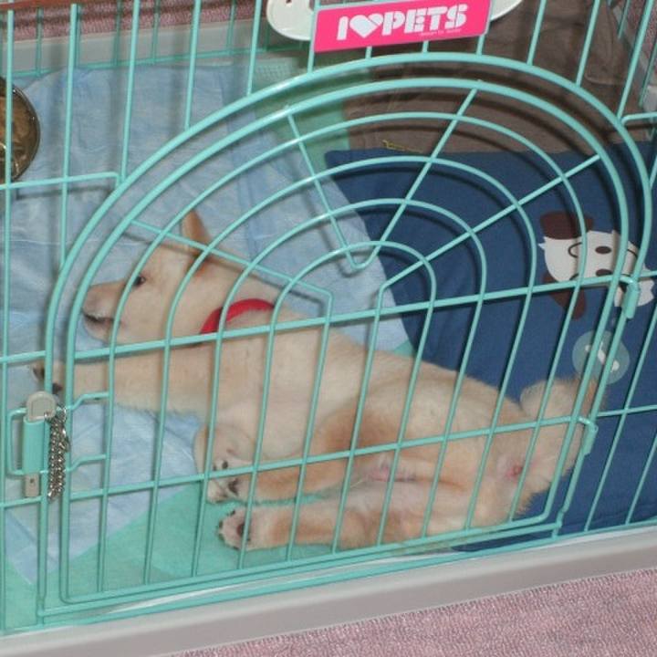 8d6fc701 76b4 4eb1 b83d 7e2ab2fabce7 1639645728461