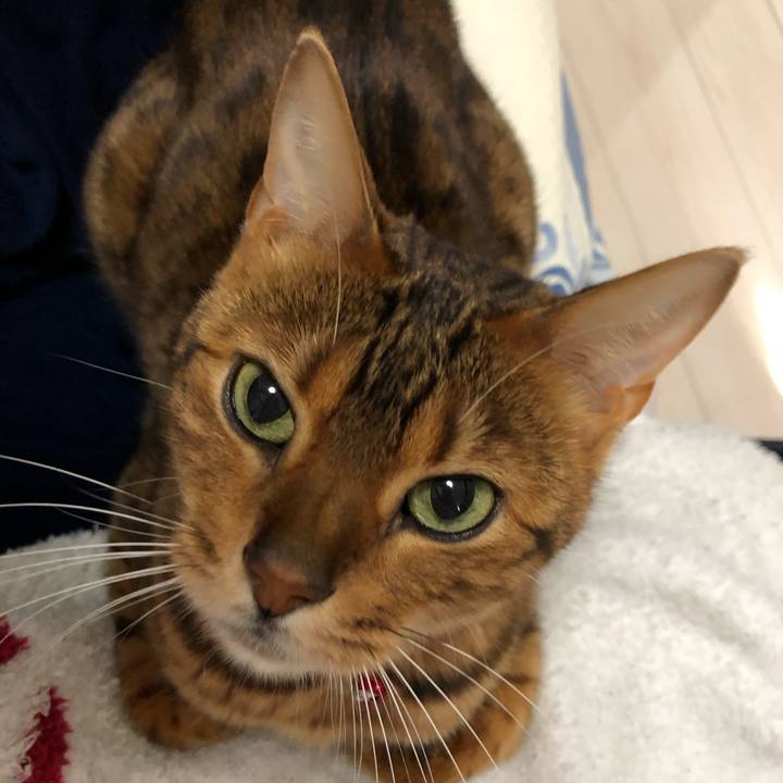 8d6fcb0c d844 4cd0 8a1e ee426ce4ed05 1548463397103