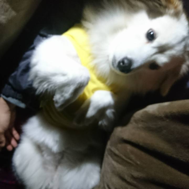 8d6fe59f 28fa 41c1 b0ad a189d8c6ee87 1517778022390