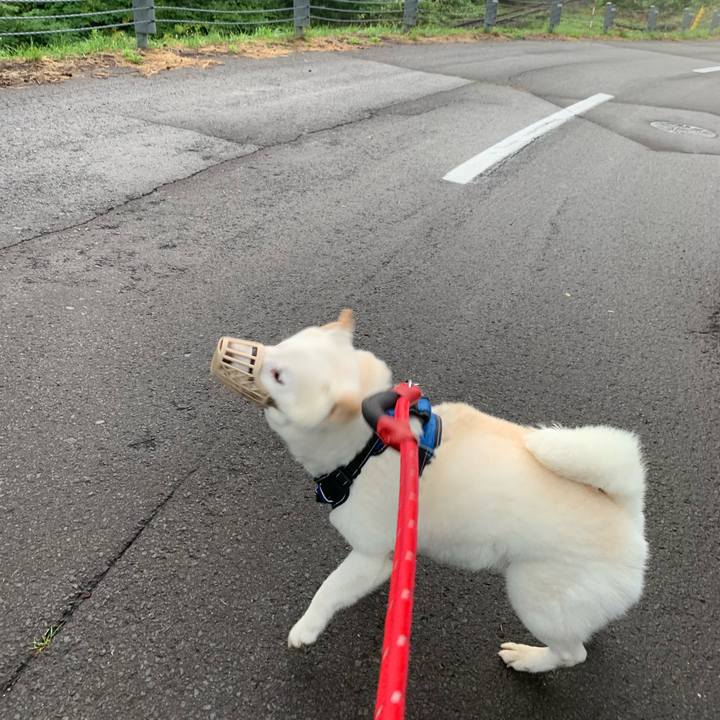 8d6feaa2 9543 457a 825f acc54b0bde88 1661980932561