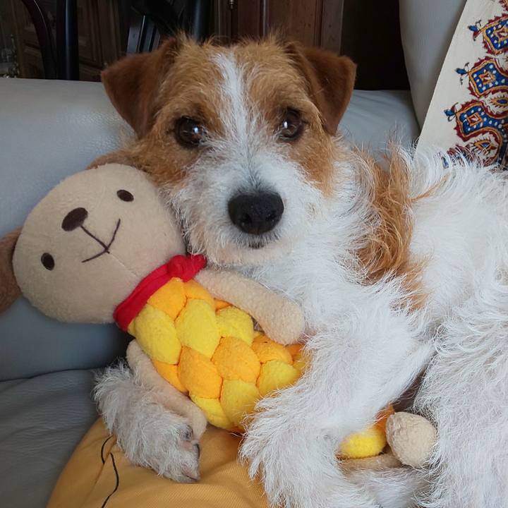 8d700fe4 2a7e 4bac b813 e453c228e826 1560392346286