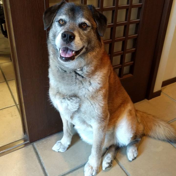 8d7018f7 3e42 4b2f 89e1 d4f241b244a6 1526461659209