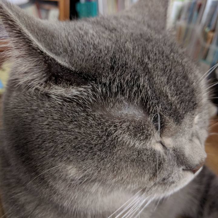 8d702a20 2bb1 4a0b bac1 088189c50514 1533990727037