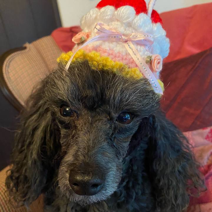 8d702f95 6594 467f 8783 227d544b3c0d 1688165324435