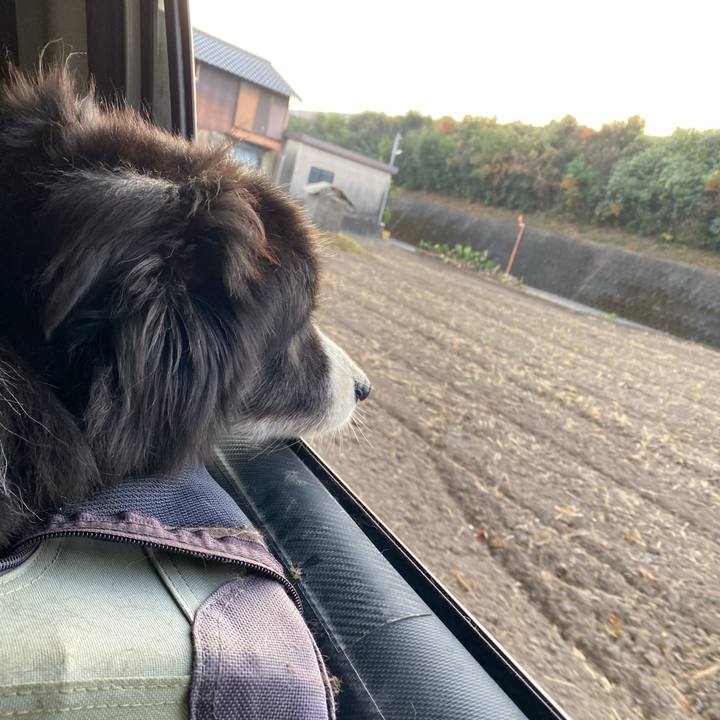 8d70733e a805 4021 8537 14fd21ff5481 1699049652845