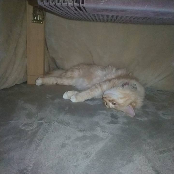 8d70eb67 3b94 4f84 a683 e80ba419eb57 1642402030105