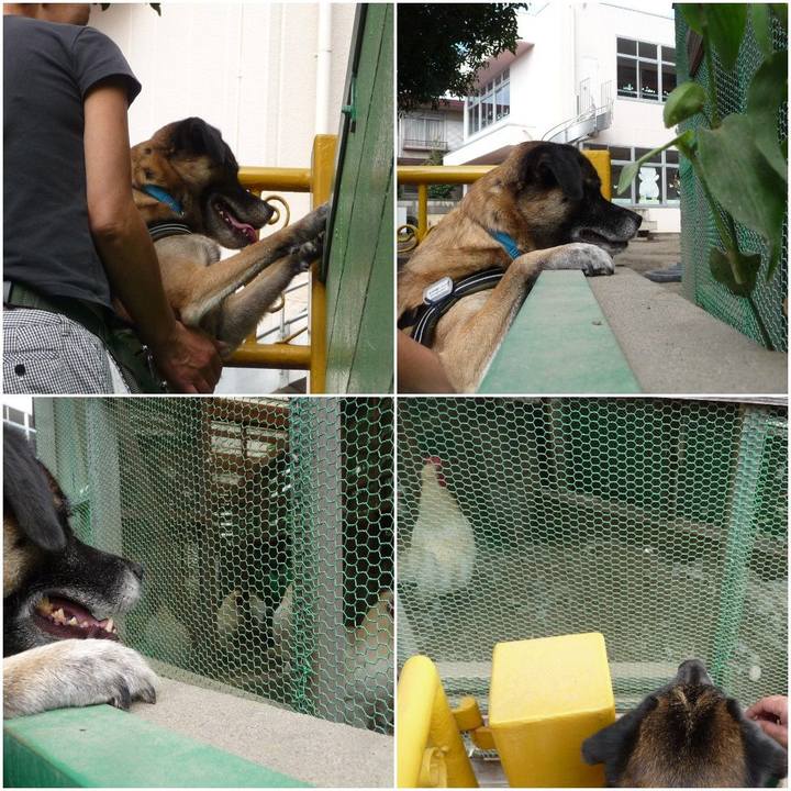 8d70ee07 69d6 496a b329 b7f8fa638bf3 1578264452846