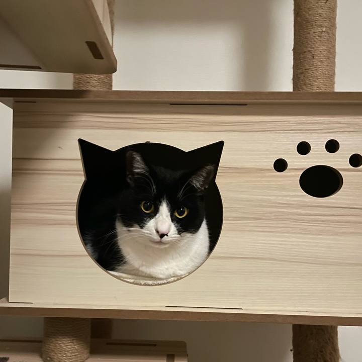 8d70f7b1 7431 43a1 b18d 9e7971cafc2a 1707134608894