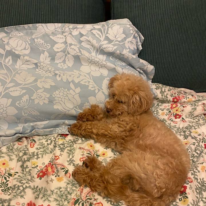 8d711607 7af6 431a b48c 5a3a624e7554 1687546930885