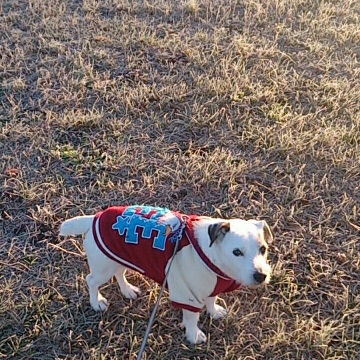 8d712192 d7f3 4998 b6f1 f664e44d4559 1515192822591