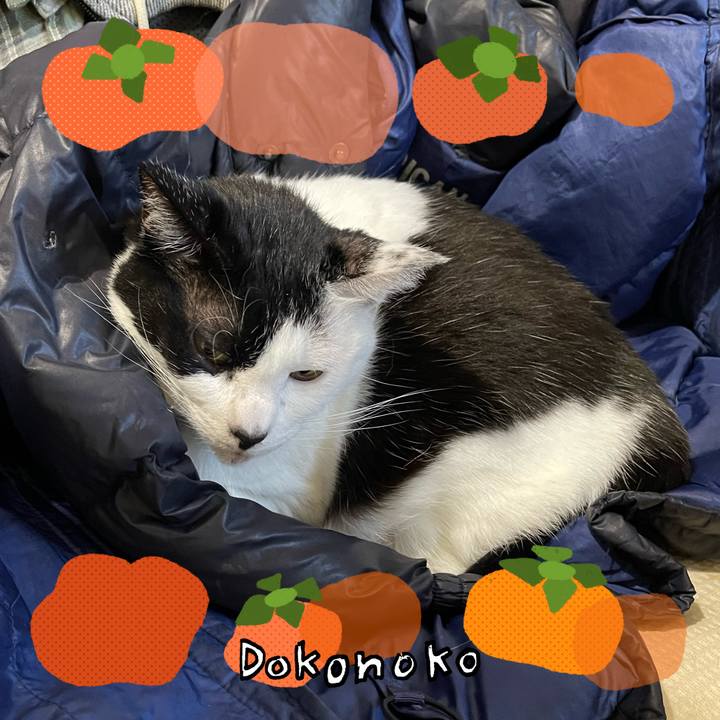 8d716c9b bc72 48ba a8c4 15f135819f08 1762210296454