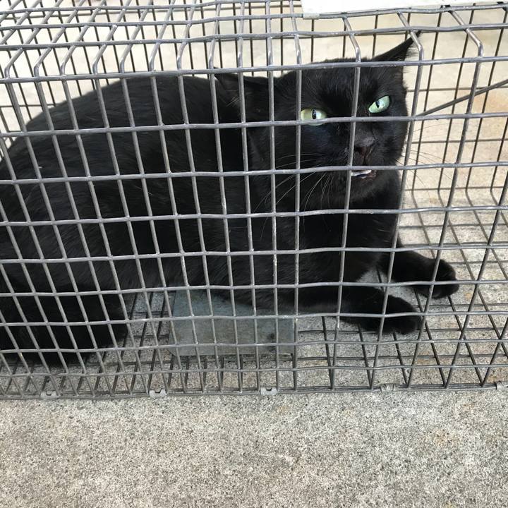 8d719869 ed1b 4fc7 a00e 0b0d2c718c5d 1509603580697