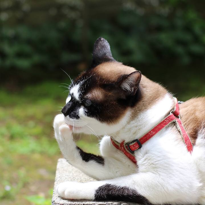 8d71bf47 8bf5 4762 9059 847fb1424b2a 1527464399136