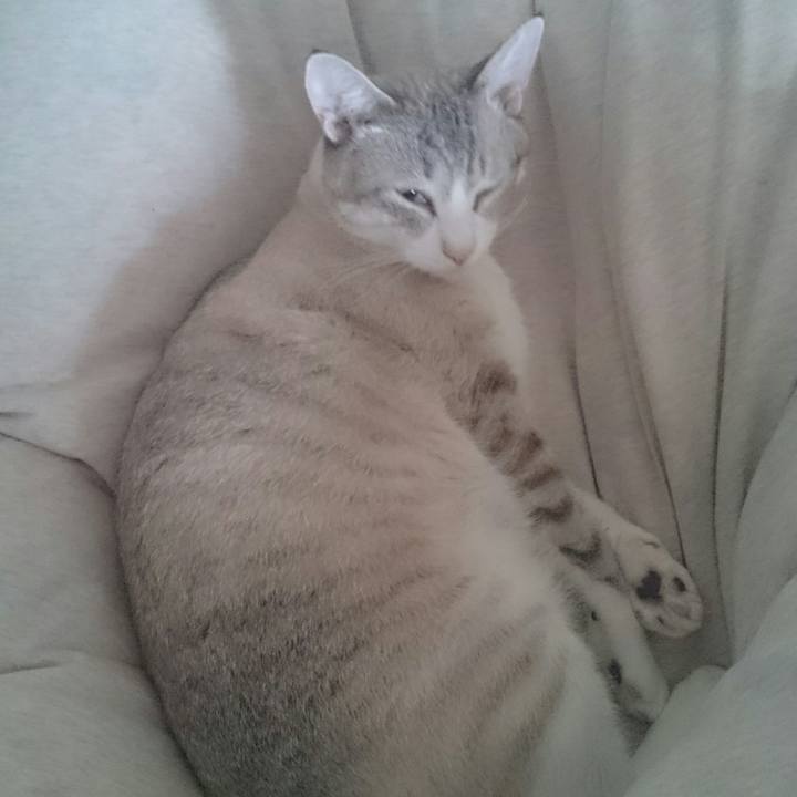 8d71c906 174f 4fec a3fb c250d4e42760 1534042589647