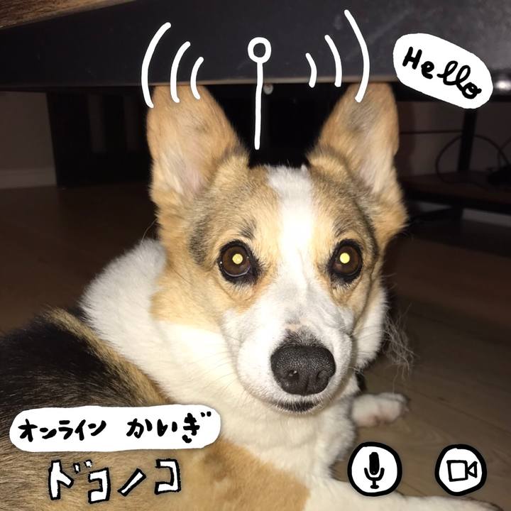 8d71cb48 0925 4a85 aa98 5df87f21834d 1590726169486