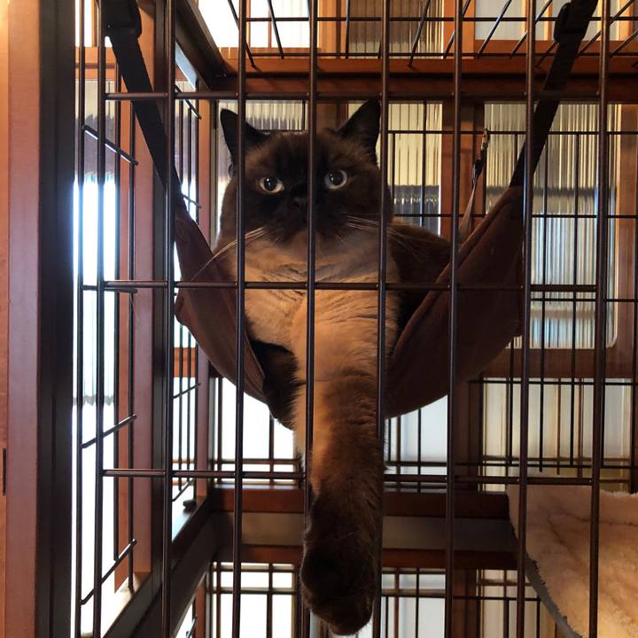 8d71dcfa 89c4 4181 9ea9 fdb25e74a910 1621160094935