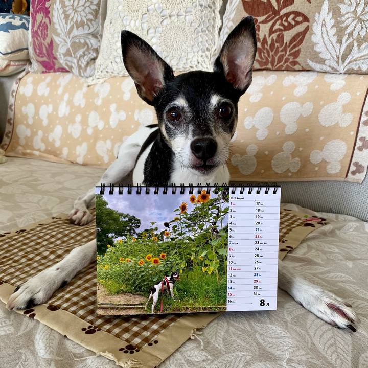 8d7219ff 402c 4781 b361 ffaaf2038577 1627777196555