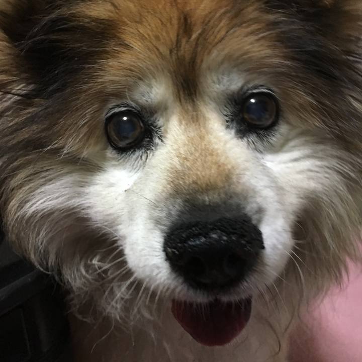 8d7232b8 af54 48b3 a0c5 99fd30c8fd5d 1610674527220