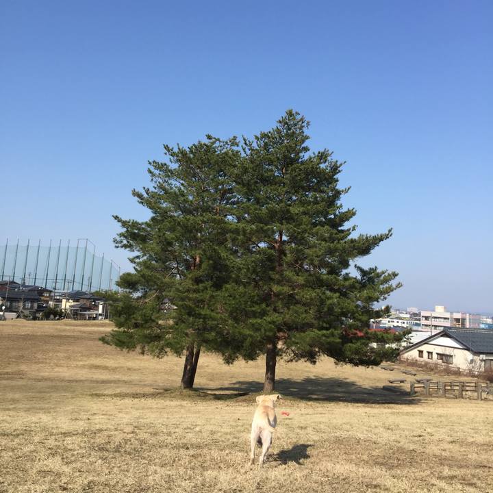 8d726f93 7367 4df9 b3ba bd573af86751 1522132947590