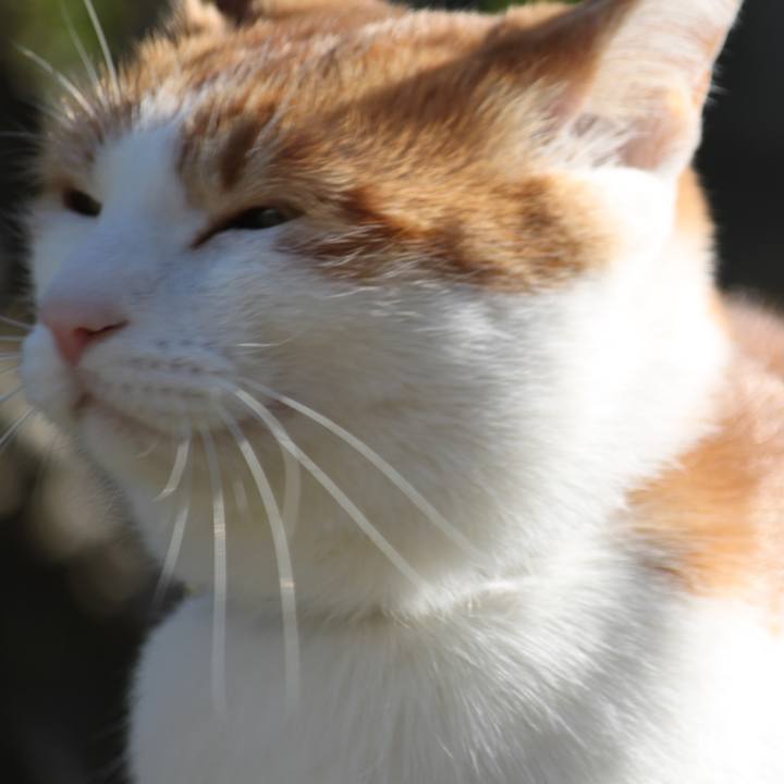 8d72c5d5 2763 4e42 bc9f d0eb85c23dc9 1523517608796