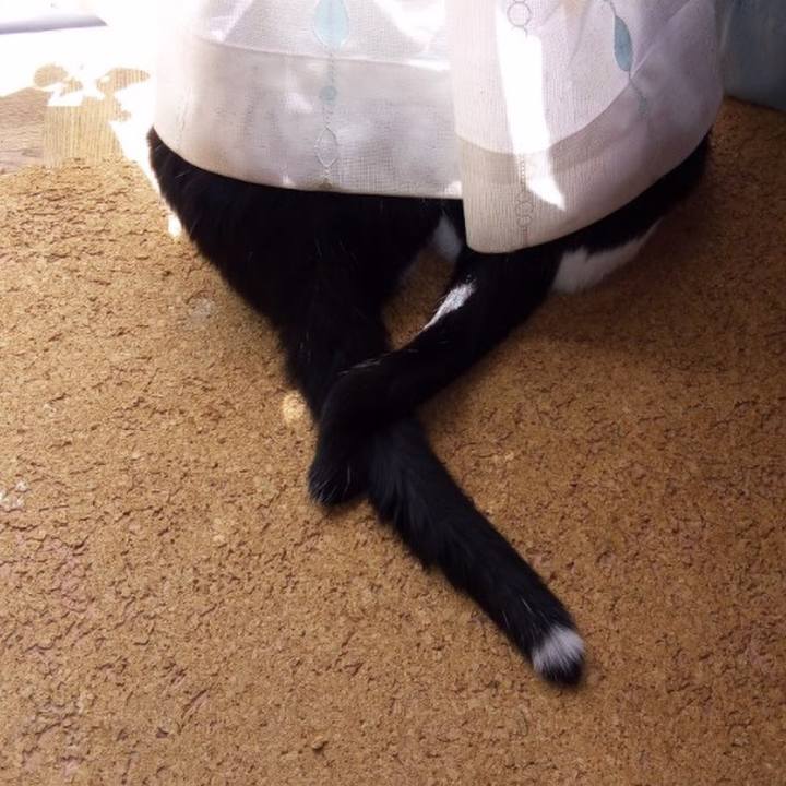 8d73231e f011 424f 83a2 e041f99e7209 1539852938514