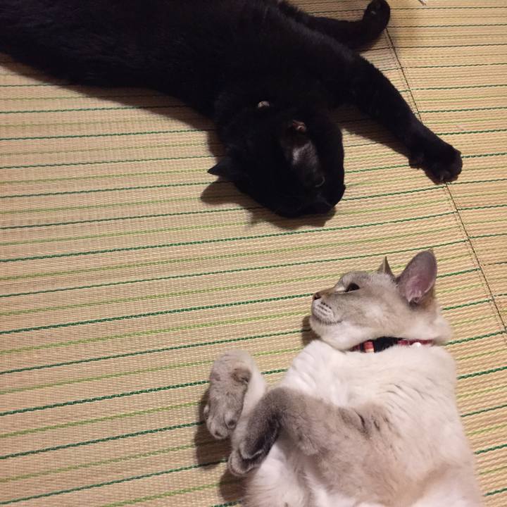 8d7339df bd2e 4485 bb9f 3d76e9d12a3f 1532692064642