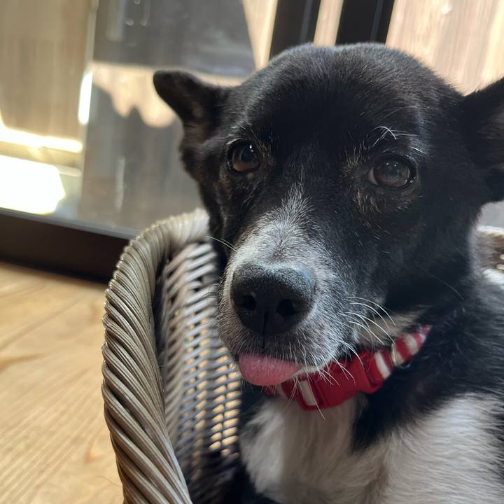 8d736c6c 0231 4dd3 a159 2b75c5119c3b 1662898984179