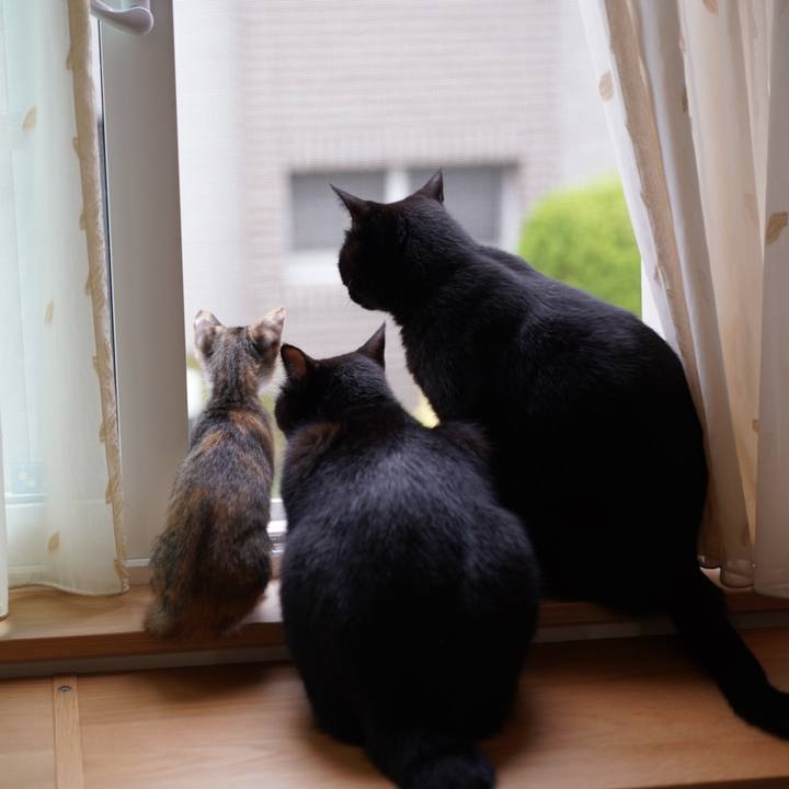 8d739fe6 d9cb 4589 b83c dc39af91e8c8 1567640069386