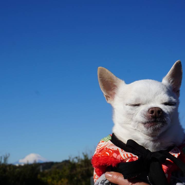 8d73b439 33b4 4365 b4e5 d9d05041ee1e 1548671529169