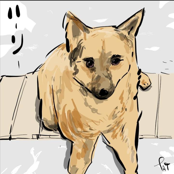 8d73b92e bee3 4d0a a7fe 674bf2bad700 1665472769608