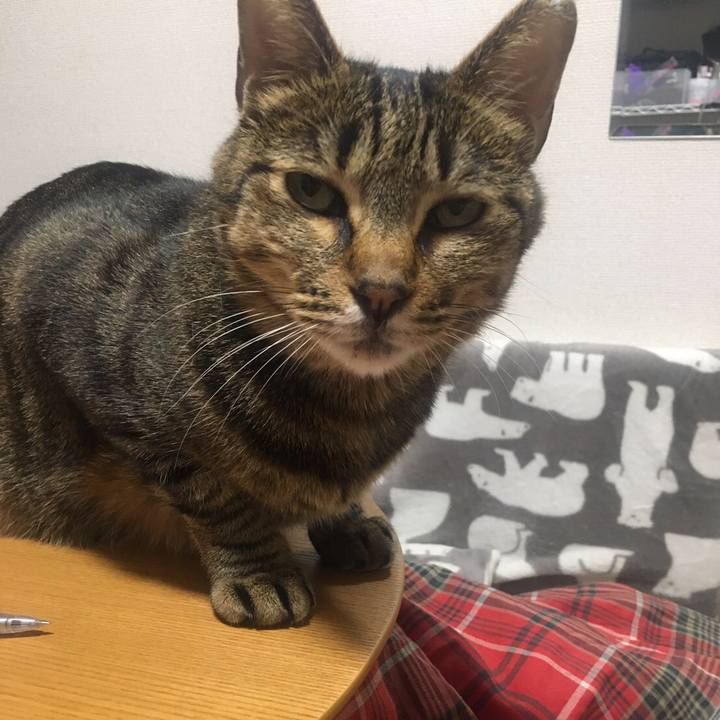 8d73c016 23c3 4b26 8fe7 29c7e1a3bbfa 1588508716736