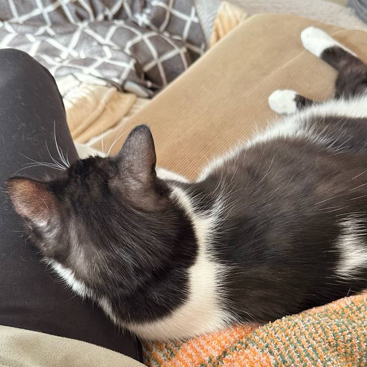 8d73c293 0610 4d0f aef1 7a146cf3a98b 1763861620819