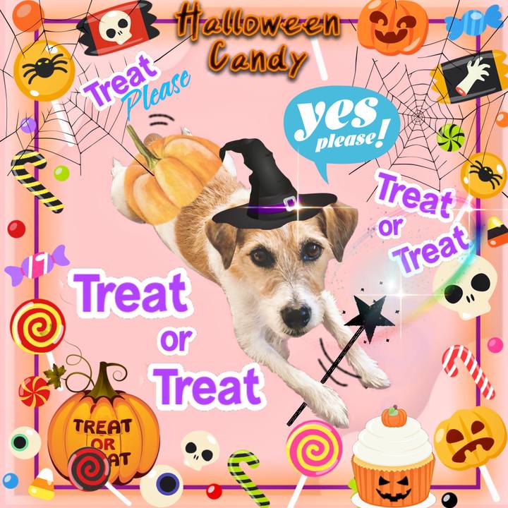 8d73dad4 5091 42ea 8144 ef5057ebea27 1698745999407