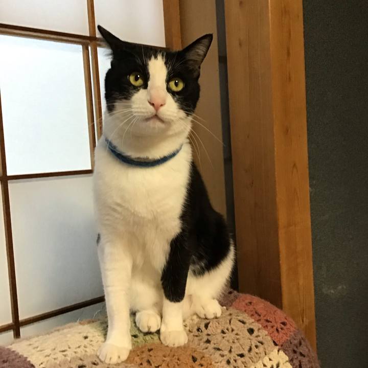 8d7405bf e5cf 4551 adb9 71010471f1c6 1684232015063