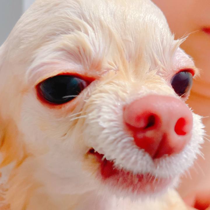 8d74314b 0c2b 42de b904 3fe0df97a642 1637971612863