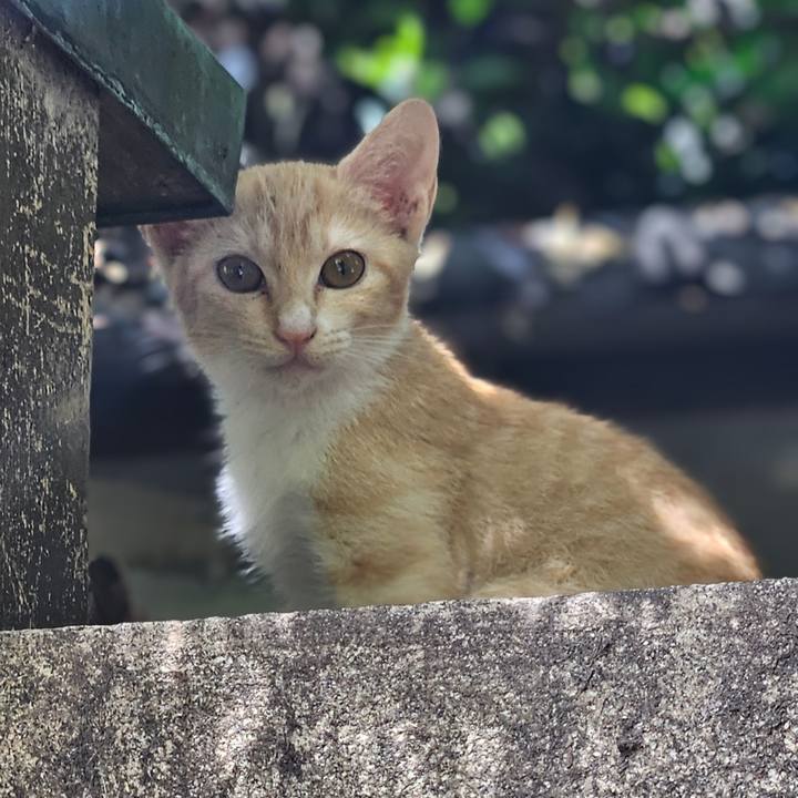 8d745115 c9d1 4bf3 825b d91b130f4acb 1724457524536