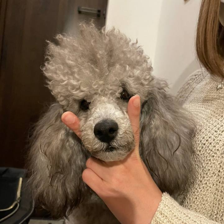 8d74603f 3bca 4066 bca2 bdcc77f6979a 1640148780816