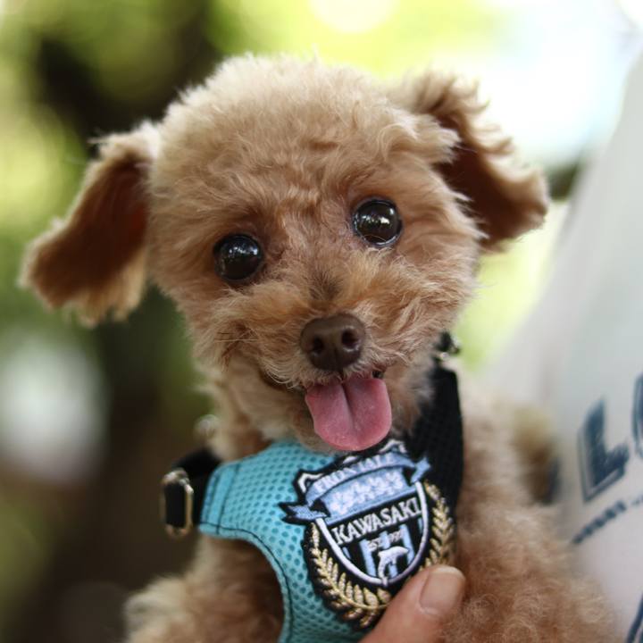 8d7461e2 24dc 4215 ad88 5700021fad4c 1599296420544