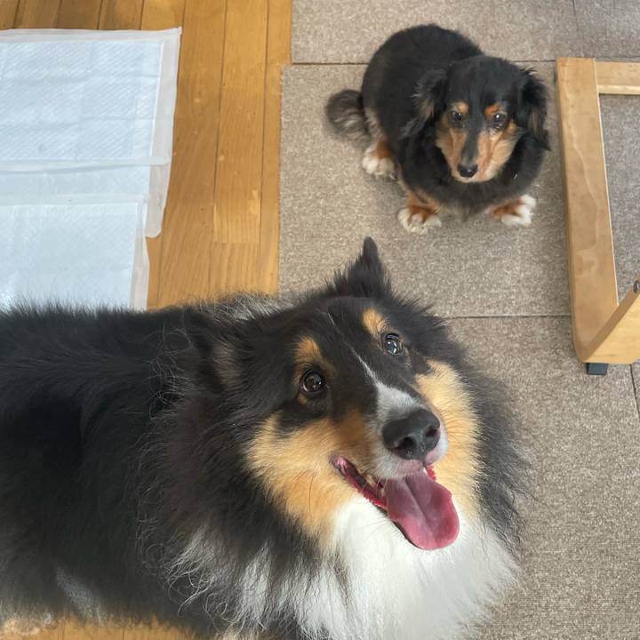 8d749ab5 2971 411f bff8 ffed6951af32 1631483342836