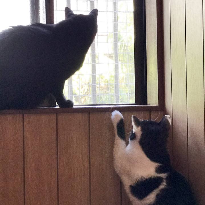 8d74be06 cc45 44dc 950b 7f7fbbaf0724 1528036990071