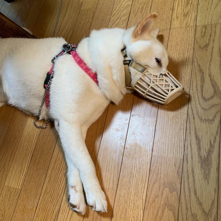 8d74f607 3b83 4771 aa54 621085bd47cf 1565564685883