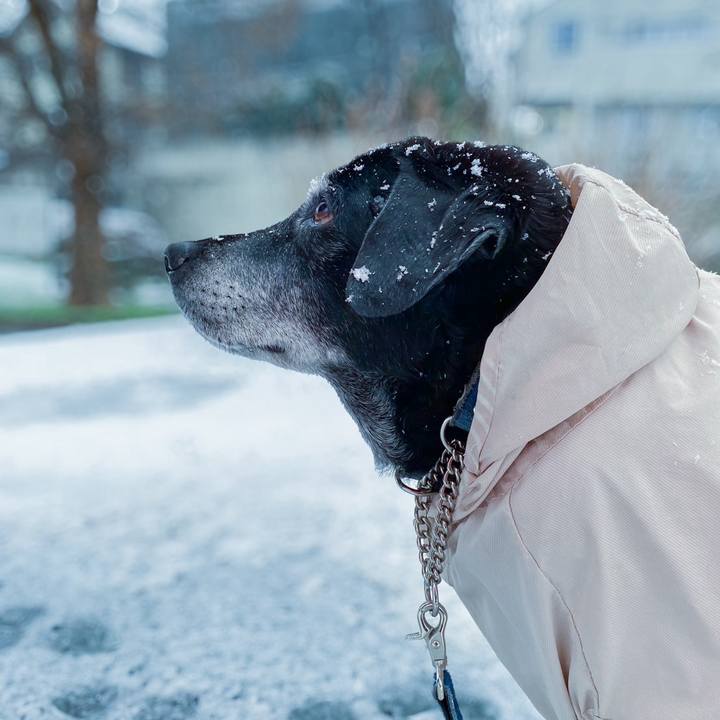 8d751868 6258 450b a1e0 81510c211694 1707482852994