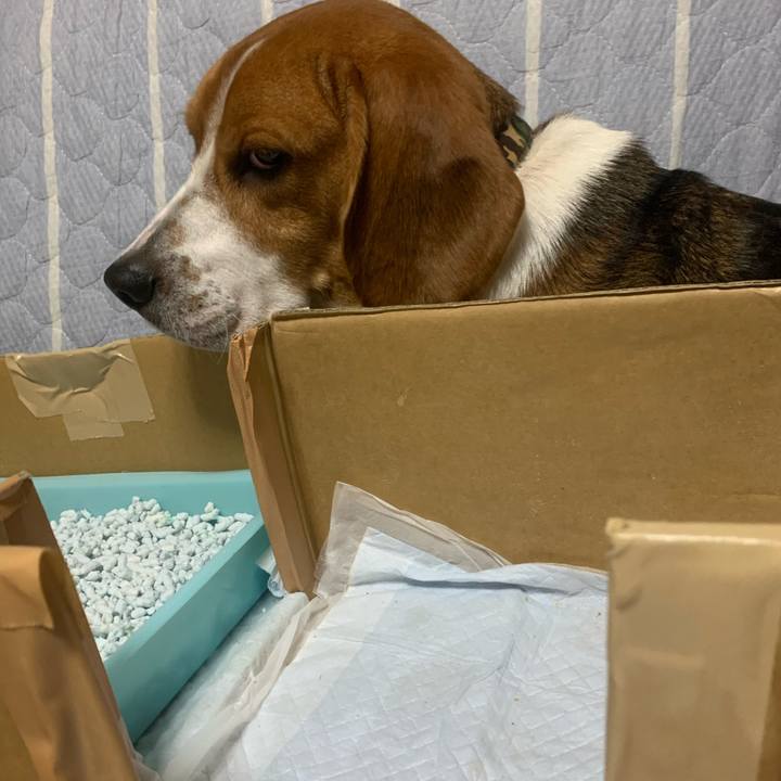 8d753c69 e9aa 4777 ad27 bc754b1c5968 1571235821641