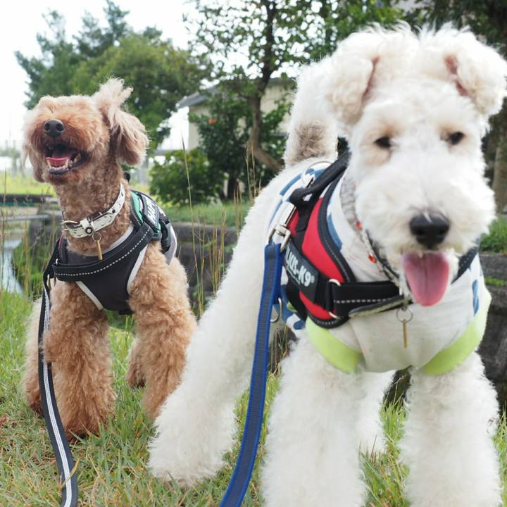 8d7549e5 63bd 431c 95e8 b3c119871216 1507761041920