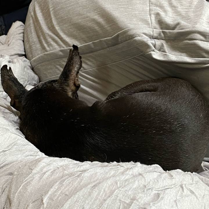 8d754e41 da15 4f63 afd9 413955d543e4 1593939072001