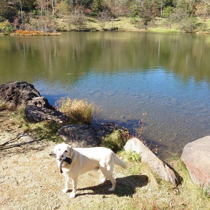 8d75507a 3d75 40e7 a4a8 3b549198fe55 1728888644992