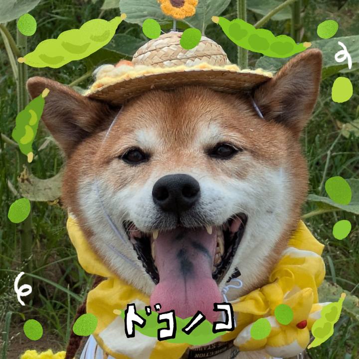 8d75569f f85c 4b01 9fd7 fd335a0e1b08 1720883180851