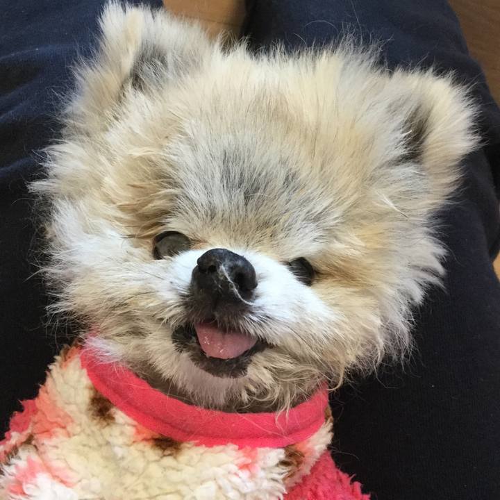 8d757d49 6a0c 4125 8505 518489451321 1619706419920